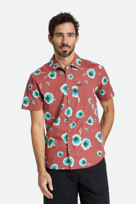 prašný cedr/bílá/nefrit Brixton muži charter print s/s triko 4DHP9 oděv