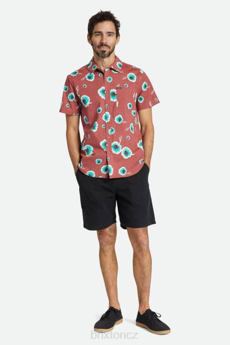 prašný cedr/bílá/nefrit Brixton muži charter print s/s triko 4DHP9 oděv