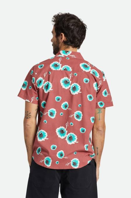 prašný cedr/bílá/nefrit Brixton muži charter print s/s triko 4DHP9 oděv