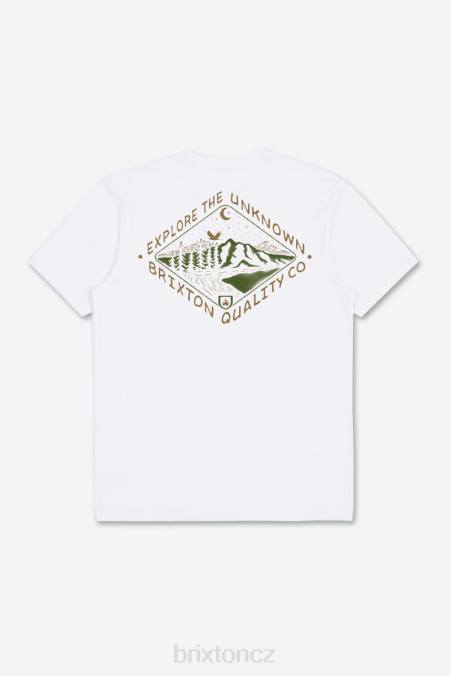bílý Brixton muži Standardní tričko apalachin s/s 4DHP83 oděv