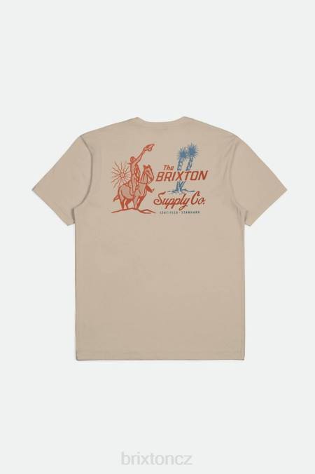 kouřově šedá Brixton muži tričko austin s/s na míru 4DHP35 oděv