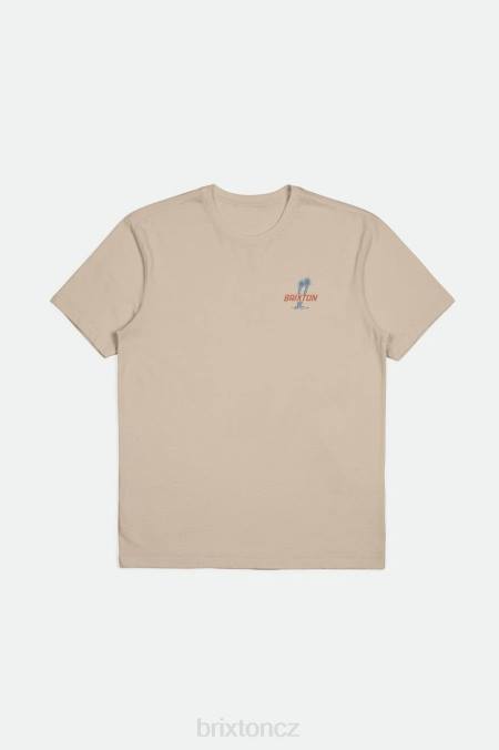 kouřově šedá Brixton muži tričko austin s/s na míru 4DHP35 oděv